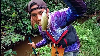 Mancing ikan nilem,palau,milem,wader pake umpan cacing sampah...strike teruzz capek saya narik nya