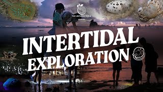 The Untamed Paths Intertidal Exploration Sentosa 4K60