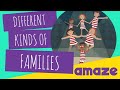 Different kinds of families