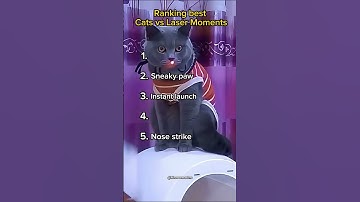 Ranking best Cats vs Laser Moments!
