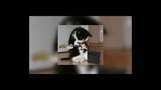 Heart - Alone (sped up)