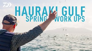 Hauraki Gulf Spring Work Ups | Daiwa NZ & Built To Fish TV