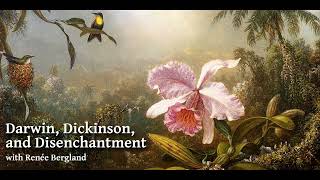 Darwin, Dickinson, and Disenchantment with Renée Bergland
