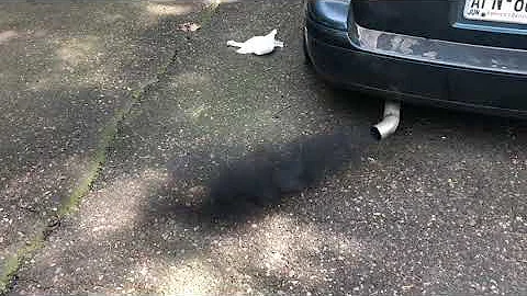 Volkswagen tdi evry mod