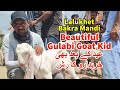 Ap Dosto Ki Farmaish Aur Phir Se Mandi Ka Chakkar | Gulabi Goats In Lalukhet Bakra Mandi.