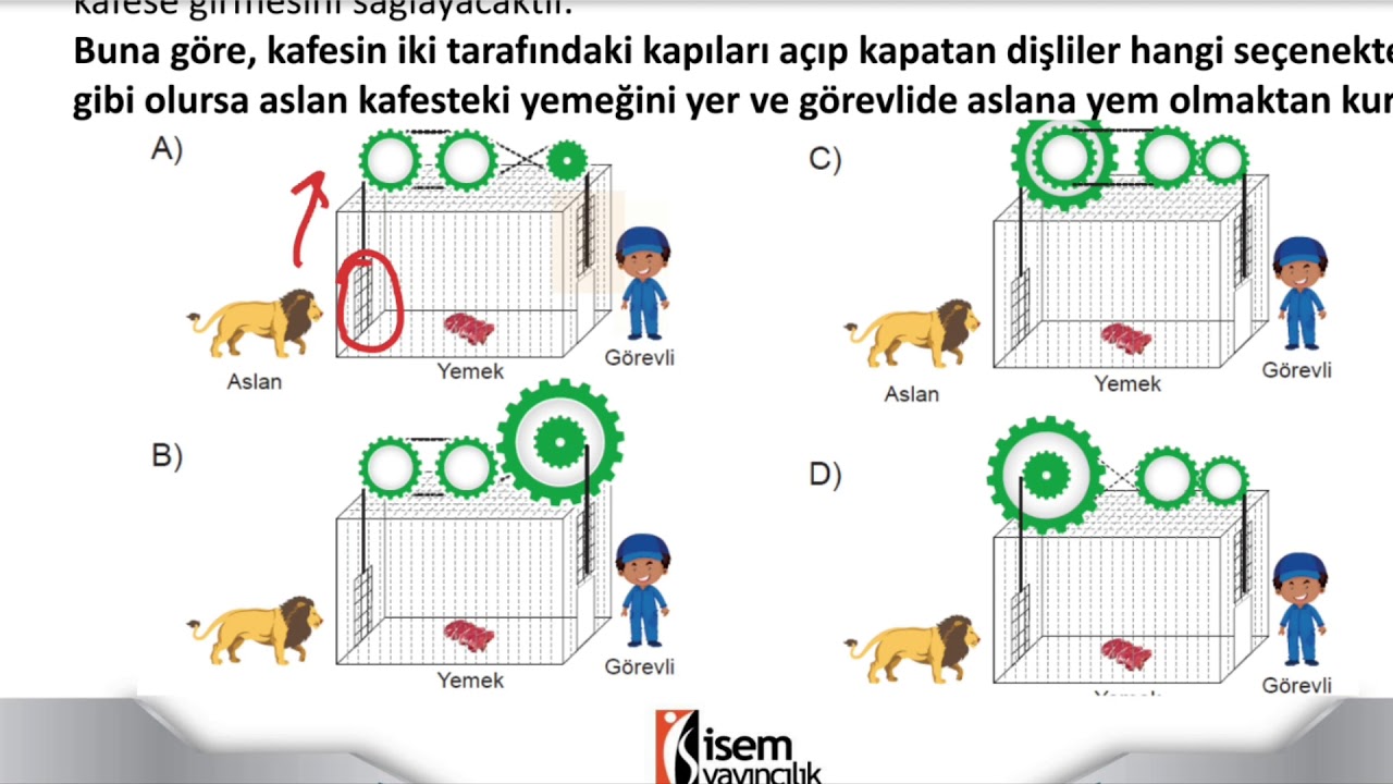 8.sınıf Fen Bilimleri soru çözümleri - Ünite 5 Test 8 - YouTube