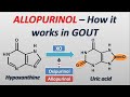 Allopurinol - How it works in treatment of GOUT