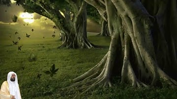 عبدالودود مقبول حنيف سورة الممتحنة كامله