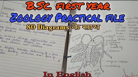 Zoology practical file for B.Sc.New syllabus 2021-22