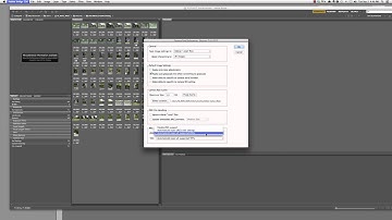 Raw Workflow 03 -- Preference Setup