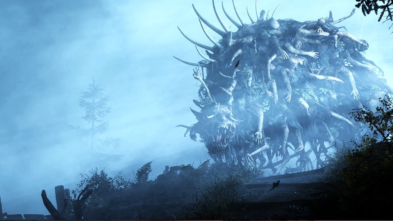 Объяснение истории «Холодной гавани»