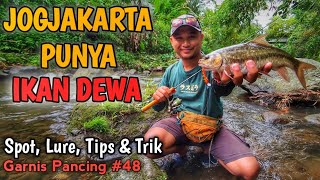 Di Sini Habitat Ikan Dewa Asli Yogyakarta || Belajar Casting Ikan Mahseer || Garnis Pancing #48