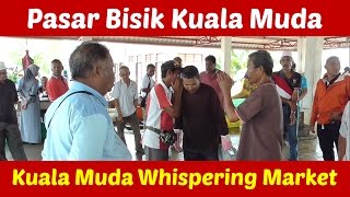 Berbisik di Pasar Ikan Kuala Muda (with English subtitles)