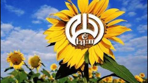 010 سورة يونس للقارئ الشيخ المتميز سيد أبو خطوة