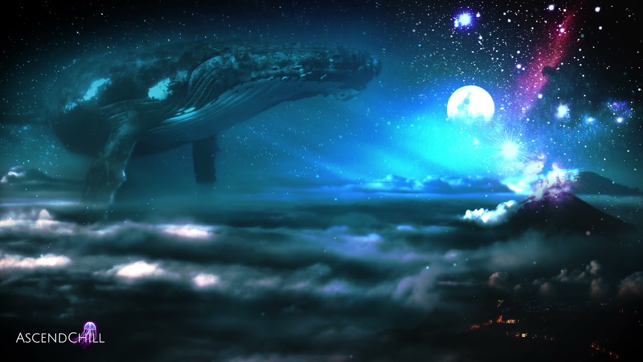 Vibonacci & Starward | Paradigm Shift (2025 Original Mix)