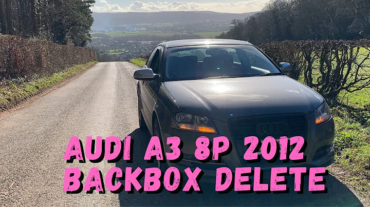 AUDI A3 8P 2012 1.6 Petrol Backbox delete (Longlife Custom)