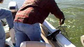 Salmon Fishing Lake Oahe SD