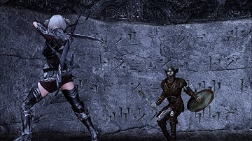 Skyrim SE - "Inpa Sekiro Combat" VS Draugr