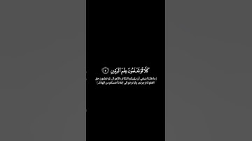 سورة التكاثر // للقارئ عبد الله خلف//شاشة سوداء#لا_تنسو_الدعاء_لبلاد_المسلمين🇵🇸🇸🇾🇸🇩