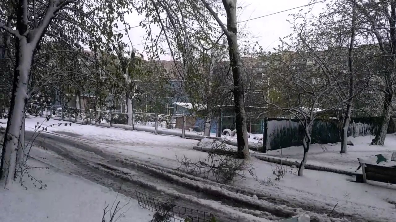 Погода в донской ниве