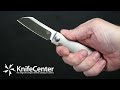 Bestech knives bruv frame lock front flipper knife