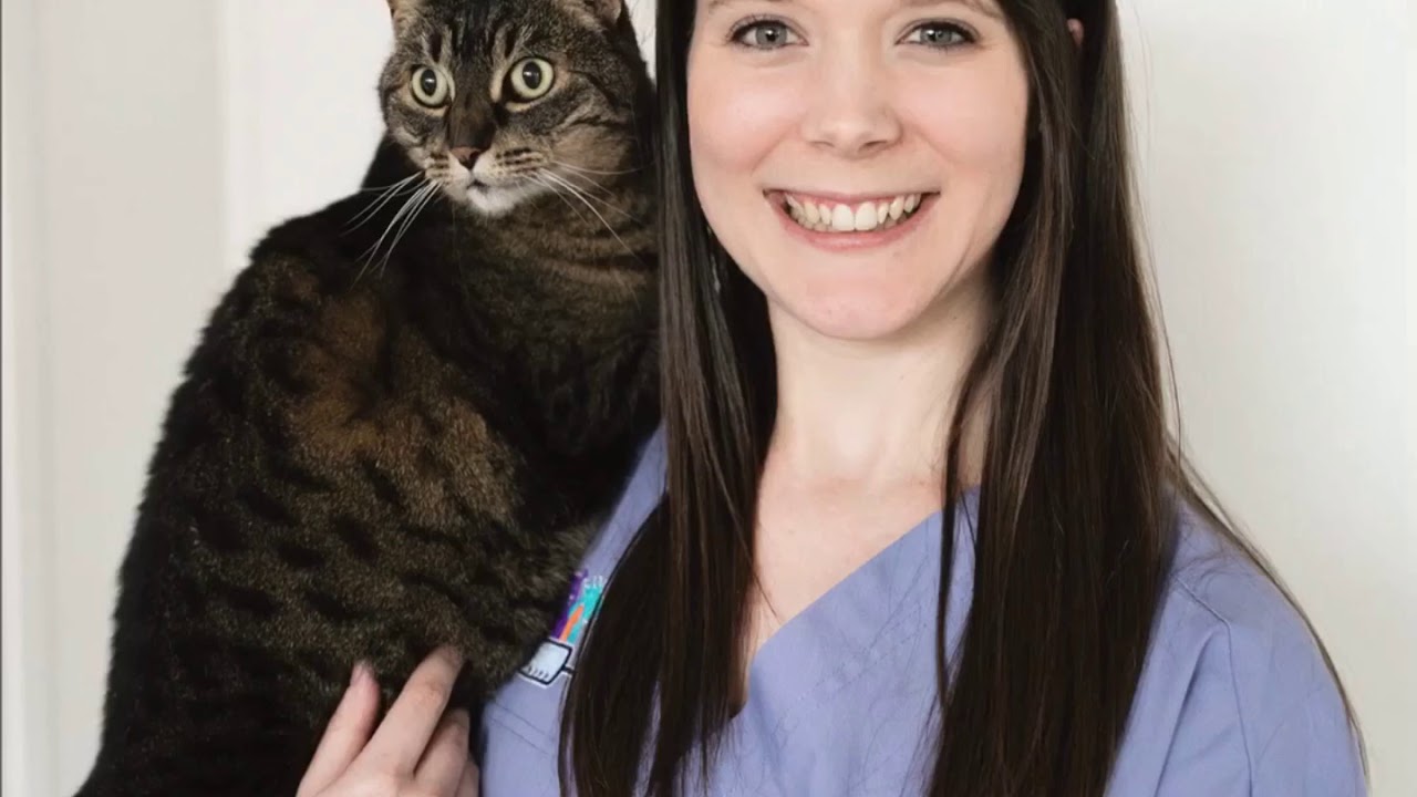 Pine Ridge Veterinary Clinic 3 - YouTube