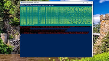 State Repository Service High CPU Usage in Windows 10 [Tutorial]