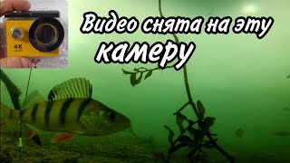 ПОДВОДНЫЕ СЪЕМКИ НА БЕЛОМ ОЗЕРЕ! РЕАКЦИЯ РЫБЫ НА КАМЕРУ! ГОРБАЧИ ОКУНИ! СОРОГИ ЖИВЦЫ! ПОДЛЕЩИК!