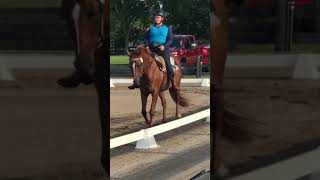 Victory Avenue Western Dressage Basic Level test 2