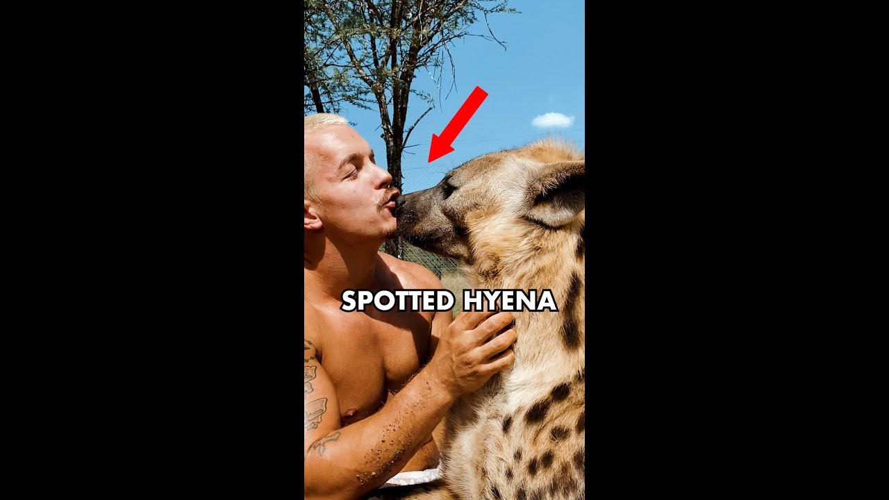 HYENA LOVE! #shorts