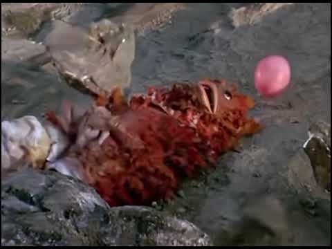 Red King kills Pigmon (Ultraman 1966 ep 8)