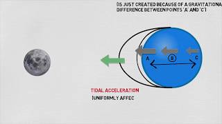 क्यों चाँद सिर्फ समुद्र मैं Tides (ज्वार) लाता है और तालाबों में नहीं. (You Were Taught this Wrong)