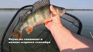 картинка: Рыбалка на окуня в начале сентября