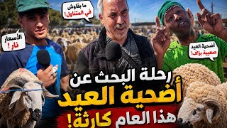 آراء الناس فالسوق صدمتني… العيد هذا العام مختلف 😳أثمنة الأضاحي خرجات على السيطرة هذا العام 😯