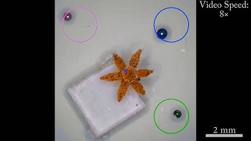 Ongaro et al. - JMBR 2016 - Surgical Robotics Lab