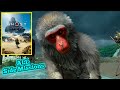 🔴 Ghost Of Tsushima - Iki Island - Side Missions (Full Game, Walkthrough, Gameplay) LIVE