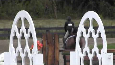 Video of S & L Just a Cobbler ridden by Dorothy Do...