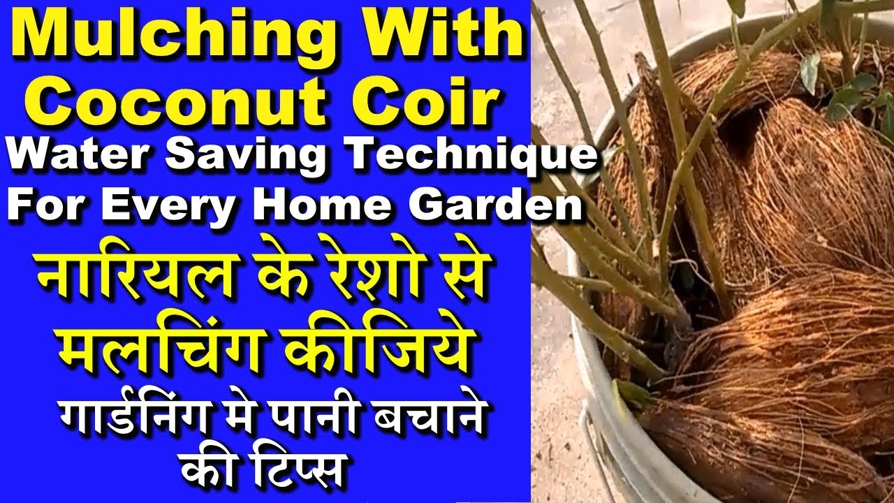 DIY: Make Coconut Coir, Potting mix at home for Plants and Animals