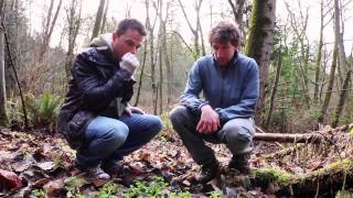 How to Forage for Local Edibles: A Guide from Urbane Restaurant in Seattle