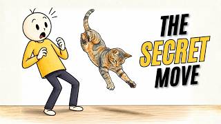 The SECRET Physics Behind a Cat’s Fall
