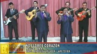NO LLORES CORAZÓN - DÚO DE LOS HNOS. PANOLUISA. chords