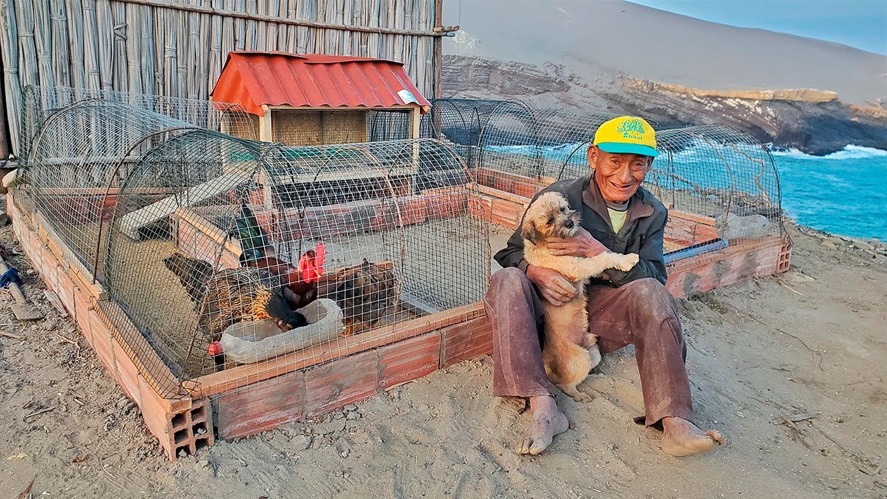 50 años VIVIENDO SOLO en orilla del Mar, feliz con PERRO Y GALLINAS - Tío Adrián
