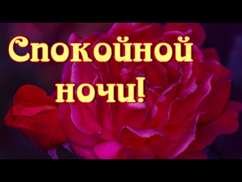 Спокойной ночи! Волшебных и цветочных снов!