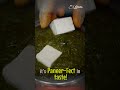 We say "make it Palak Paneer | Family Restaurent in Indirapuram | The Postman Kitchen