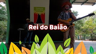 Bosque Encena - 18/06/23 - Rei do Baião