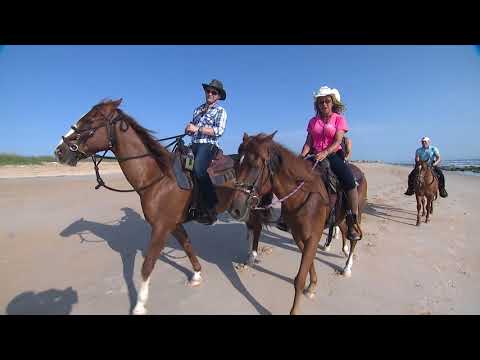 Equestrian Adventures Of Florida Featured On Fox 35 Orlando 