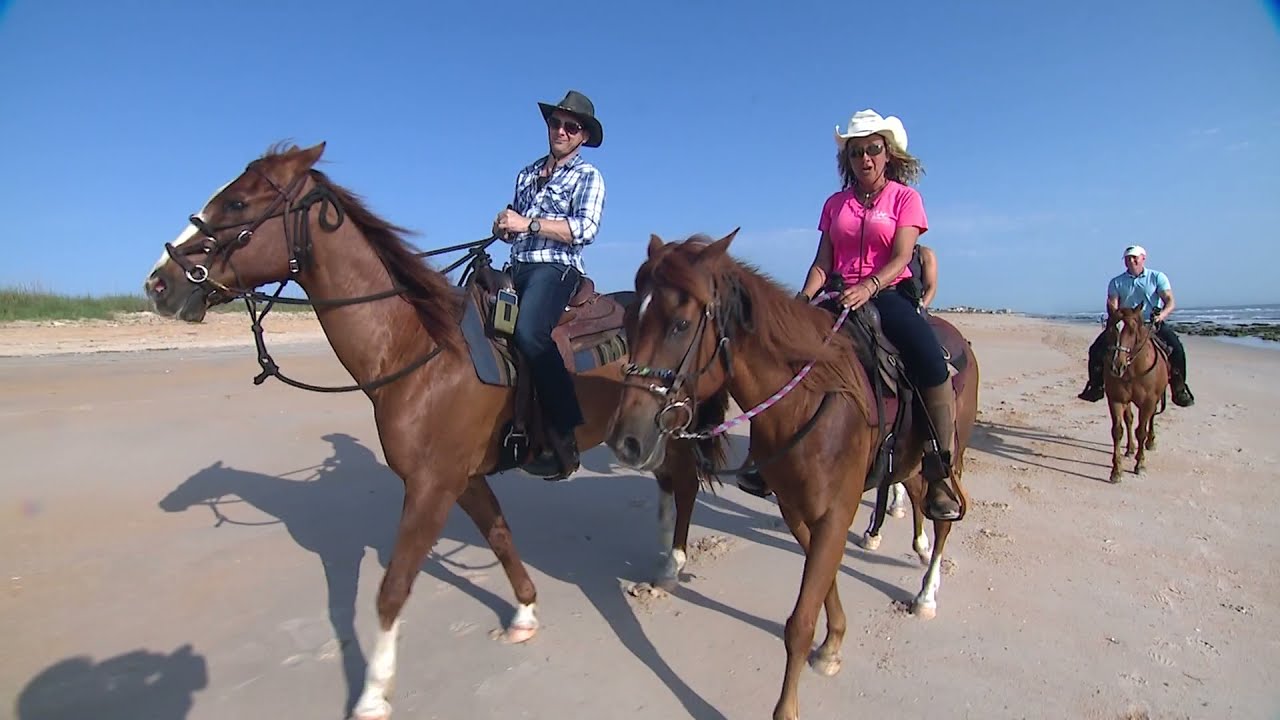 Equestrian Adventures of Florida Featured on Fox 35 Orlando YouTube