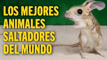 ¿Qué animal no puede saltar?