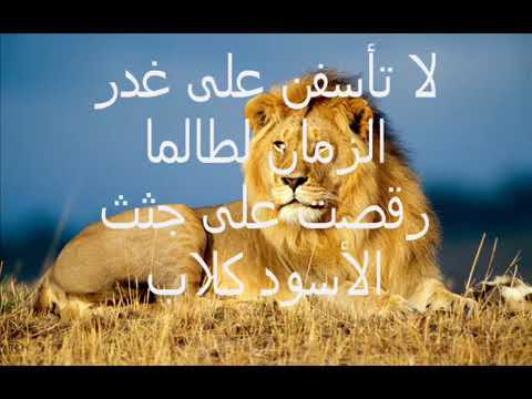 فنحن وإن جار الزمان لبرهة نبقى الكبار و غيرنا أقزام ما ذنبنا إن كان يشعر أننا أرقى وأن مكانه الأقدام