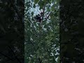 My worst FPV fail, sorry 🙏#fpv